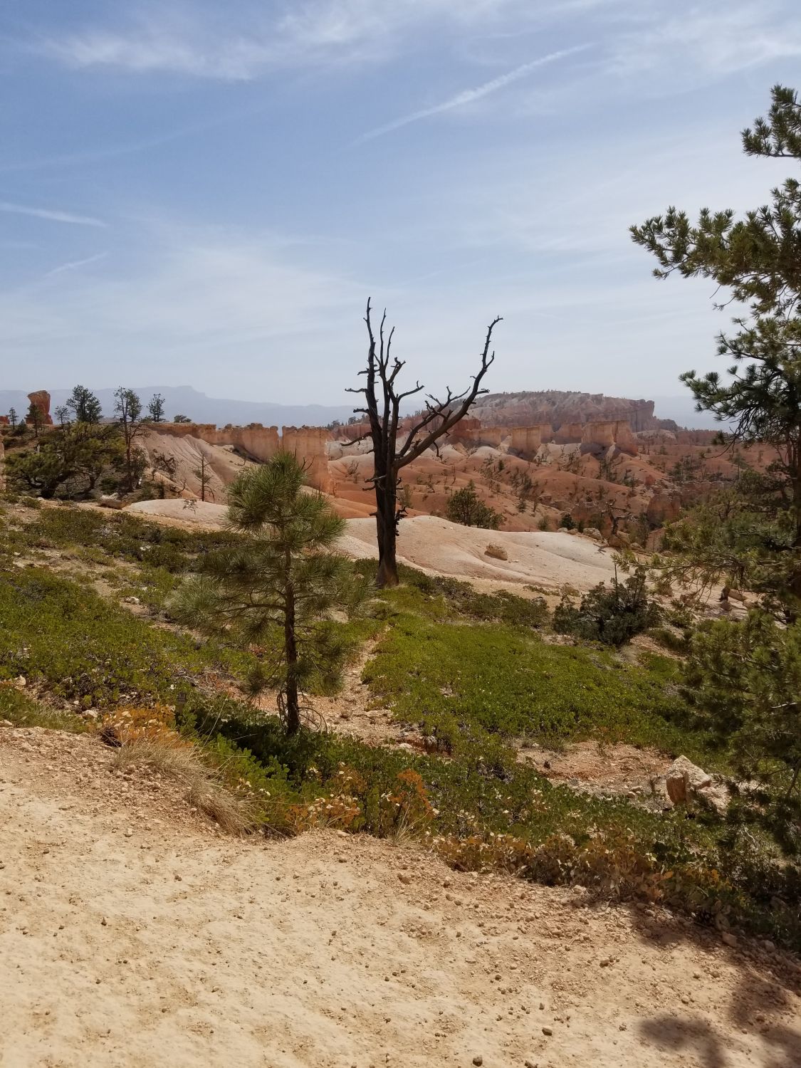 Queens/Navajo 